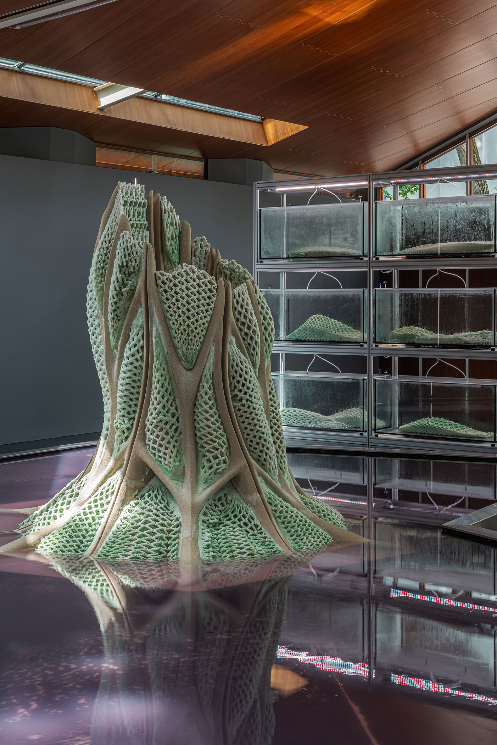 Picoplanktonics at the Canada Pavilion as part of the Biennale di